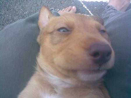 cOcane